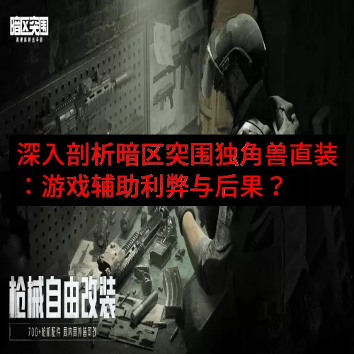 深入剖析暗区突围独角兽直装：游戏辅助利弊与后果？