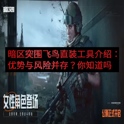 暗区突围飞鸟直装工具介绍：优势与风险并存？你知道吗